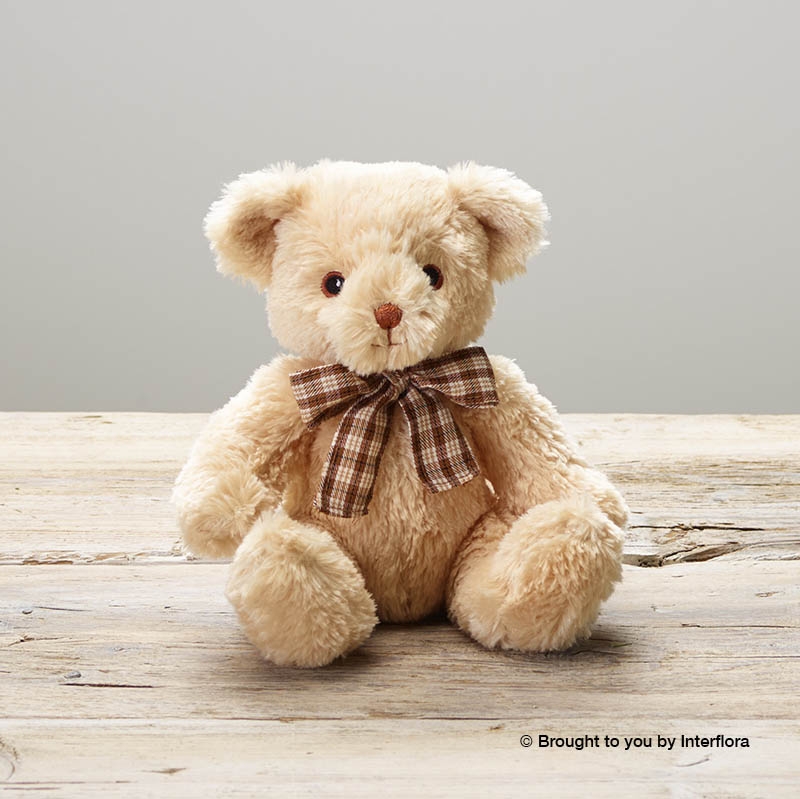 Rose Blush New Baby Hatbox ( in black hatbox) with James Junior Bear