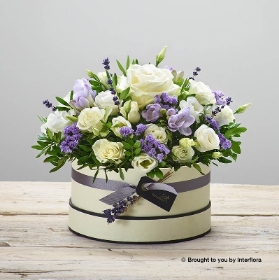 Lovely Lilacs New Baby in black Hatbox with James Junior Bear